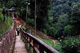 Jampui Hills Trekking Tour